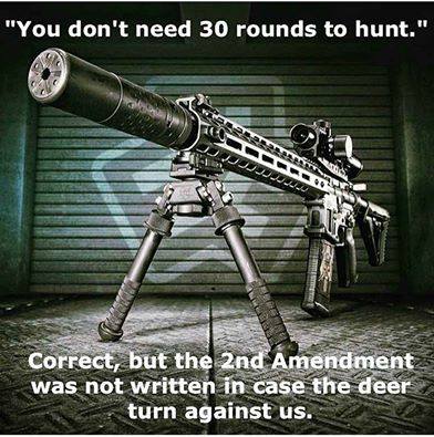 2nd Amendment -  You don't need 30 rounds to hunt!!! Correct, but the Second Amendment wasn't written in case the deer turn against us. 