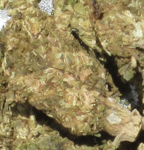 a photo of legal medical marijuana in Arizona - In Arizona medical marijuana has been legal for about 4 years