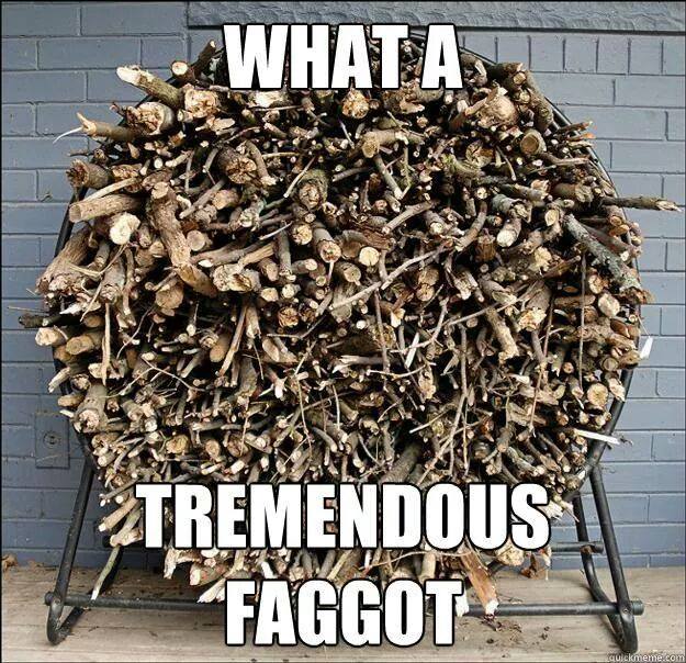 faggot, an English word that means a bundle of sticks used for firewood - also an insulting term for gay people