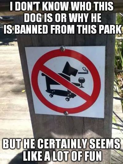 dog that drinks wine, smoke a pipe and cigars, skateboards and is banned from the park
