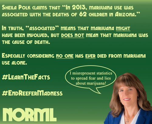 Yavapai County Attorney Sheila Polk - I misrepresent statistics to spread fear and lies about marijuana. Sheila Polk claims that in 2013, marijuana use was associated with the deaths of 62 children in Arizona