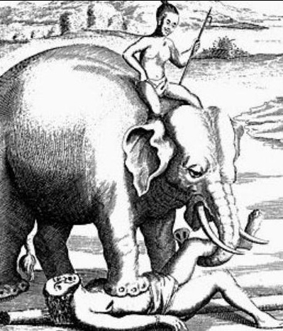 torture - elefante1a_